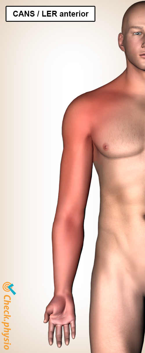 ler rsi posterior