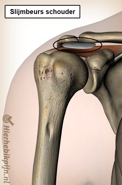 Schouder slijmbeurs bursa